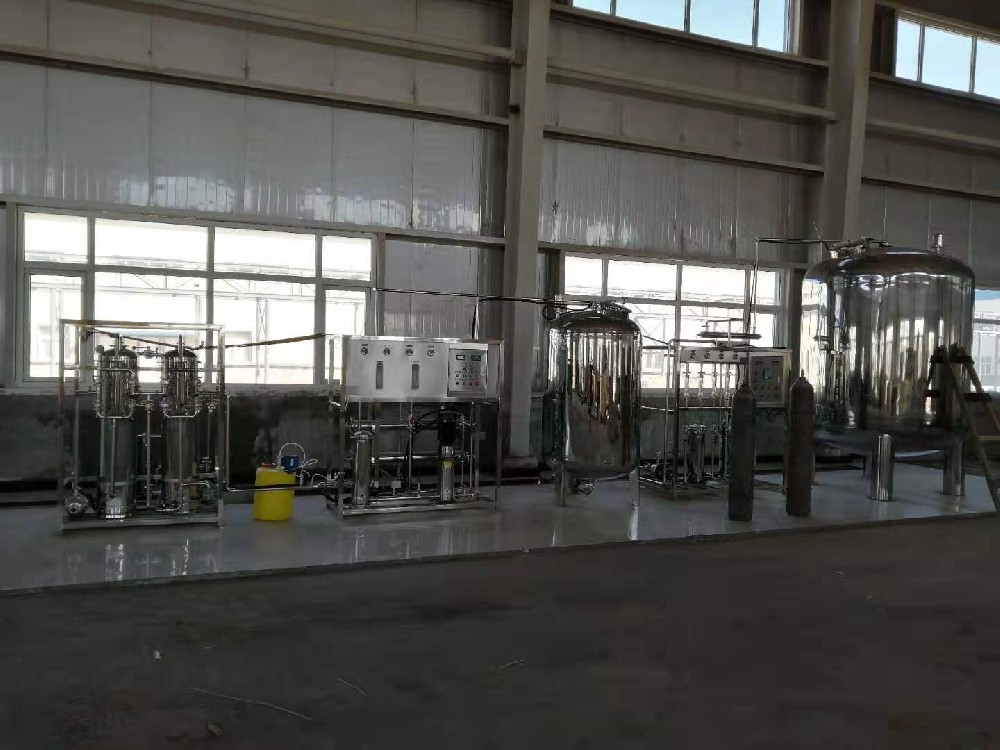 宁夏红寺堡生物科技1吨全不锈钢EDL高纯水设备